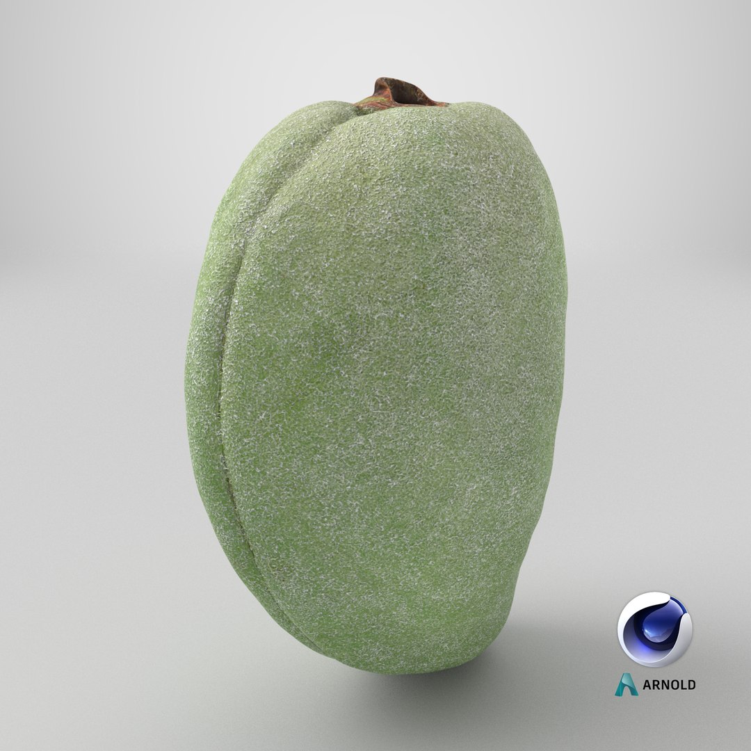 3D Unripe Almond Nut - 3D Scanned https://p.turbosquid.com/ts-thumb/bd/5KvVe2/uc/stemcell_cinema_4d_arnold_render/png/1782396261/1920x1080/fit_q87/02d11cd044bdc7ca59fdb77d8d5710cbd815317b/stemcell_cinema_4d_arnold_render.jpg