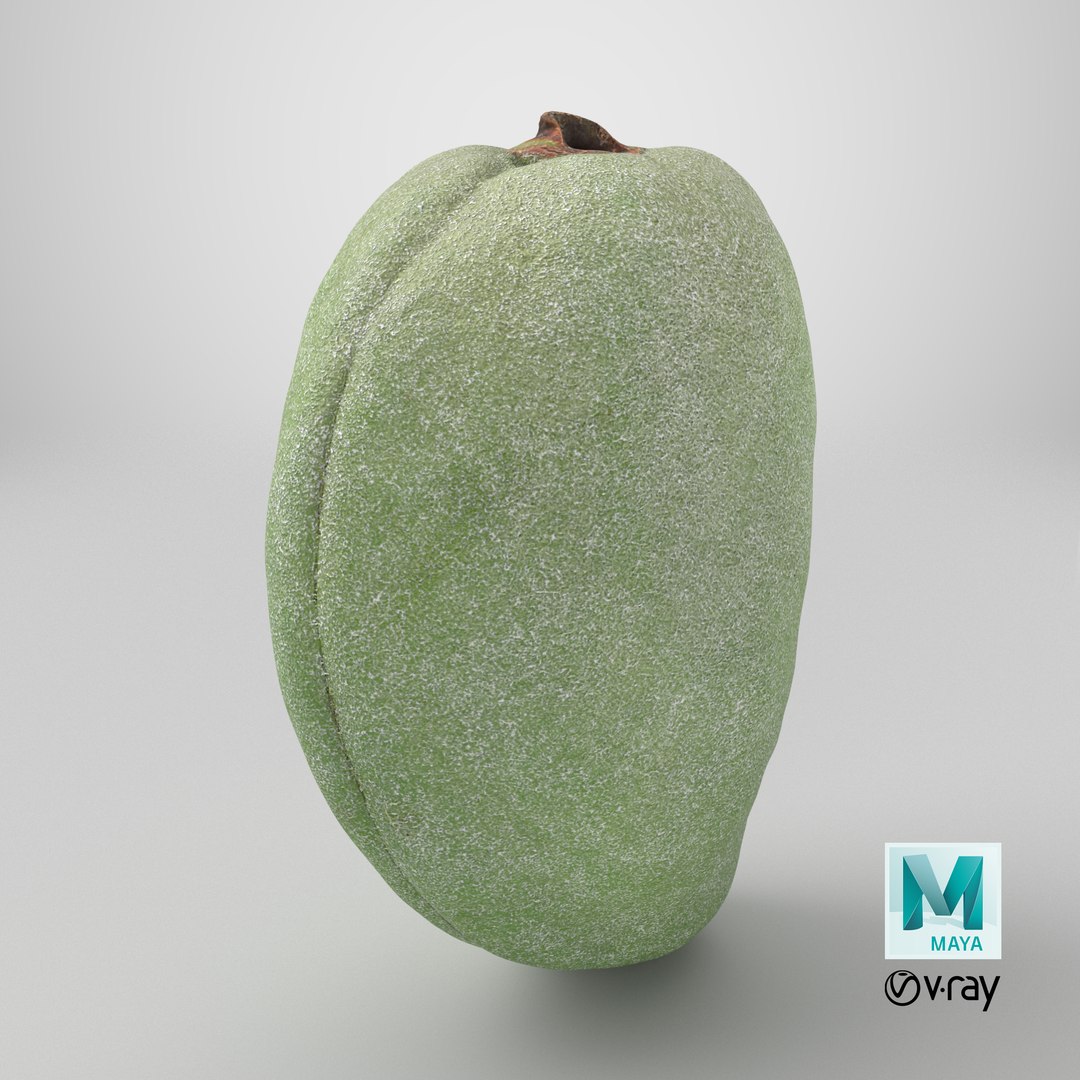 3D Unripe Almond Nut - 3D Scanned https://p.turbosquid.com/ts-thumb/bd/5KvVe2/vE/stemcell_maya_vray_render/png/1782396258/1920x1080/fit_q87/229929338280e6e770085aaf719651614ca521eb/stemcell_maya_vray_render.jpg