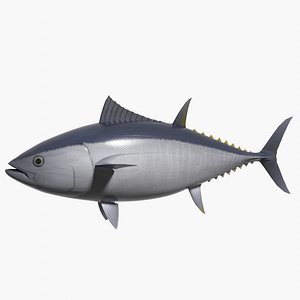 Pacific bluefin tuna