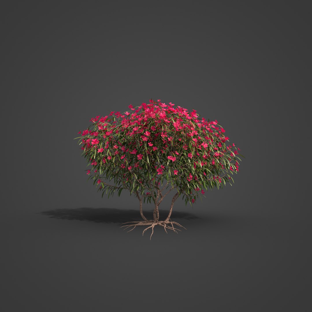 2021 PBR Oleander Collection - Nerium Oleander 3D model https://p.turbosquid.com/ts-thumb/bd/IGpuwc/K6/bs09_all_rbt_v001_1002/jpg/1625598796/1920x1080/fit_q87/e124716f8f3a6ed66a97b7aa9fe41c2007f9f324/bs09_all_rbt_v001_1002.jpg