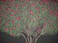 2021 PBR Oleander Collection - Nerium Oleander 3D model