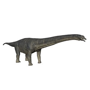 3D model Titanosaurus Giant Lizard