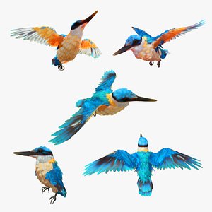 Bird Animation 3D model