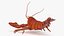 Homard bouilli truqué