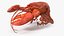 Homard bouilli truqué