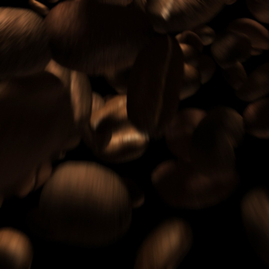 max coffee bean https://p.turbosquid.com/ts-thumb/bd/lbGSYc/FkCU50dj/coffefreefalling01/jpg/1164759985/1920x1080/fit_q87/bb0bdbac4ad9e2bbfa8b8469a9e3f7a285ccd0b8/coffefreefalling01.jpg