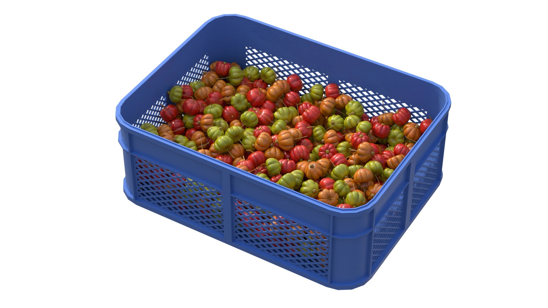 Surinam Cherry Plastic Crate model https://p.turbosquid.com/ts-thumb/bd/mO69KZ/CH/2/jpg/1778659379/1920x1080/fit_q87/ad5fb593e282e59bfb2441eb662307b20fe61e4a/2.jpg