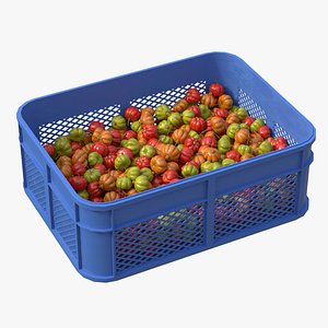 Surinam Cherry Plastic Crate model