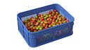 Surinam Cherry Plastic Crate