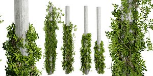 Collection plant vol 518 - blender model