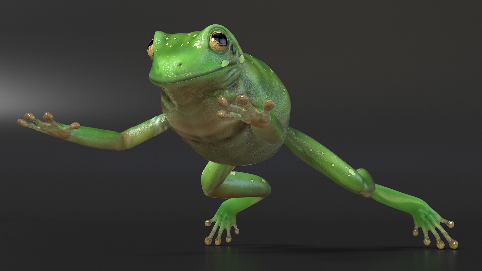 Ranoidea Caerulea Frog 3D https://p.turbosquid.com/ts-thumb/be/QAaSOc/2V/ranoideacaeruleafrogc4dmodel006/jpg/1719605440/1920x1080/fit_q87/fa64abfbc23c2e96532fa9b46ba70f80b4a22862/ranoideacaeruleafrogc4dmodel006.jpg