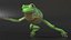 Ranoidea Caerulea Frog