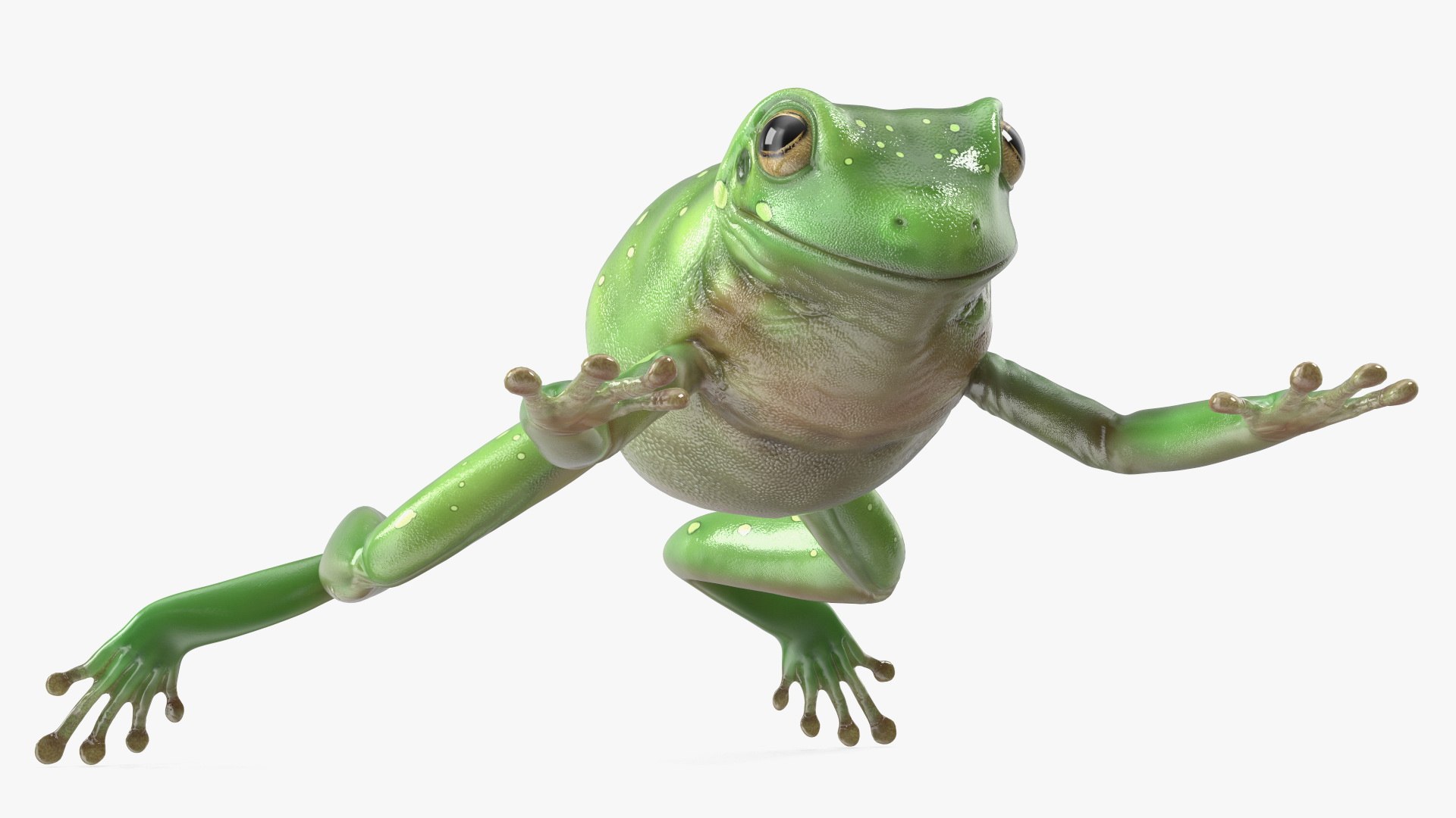 Ranoidea Caerulea Frog 3D https://p.turbosquid.com/ts-thumb/be/QAaSOc/90/ranoideacaeruleafrogc4dmodel007/jpg/1719605445/1920x1080/fit_q87/551e995c6ec46af7b2cbb6b41c2cca9eea3efa83/ranoideacaeruleafrogc4dmodel007.jpg