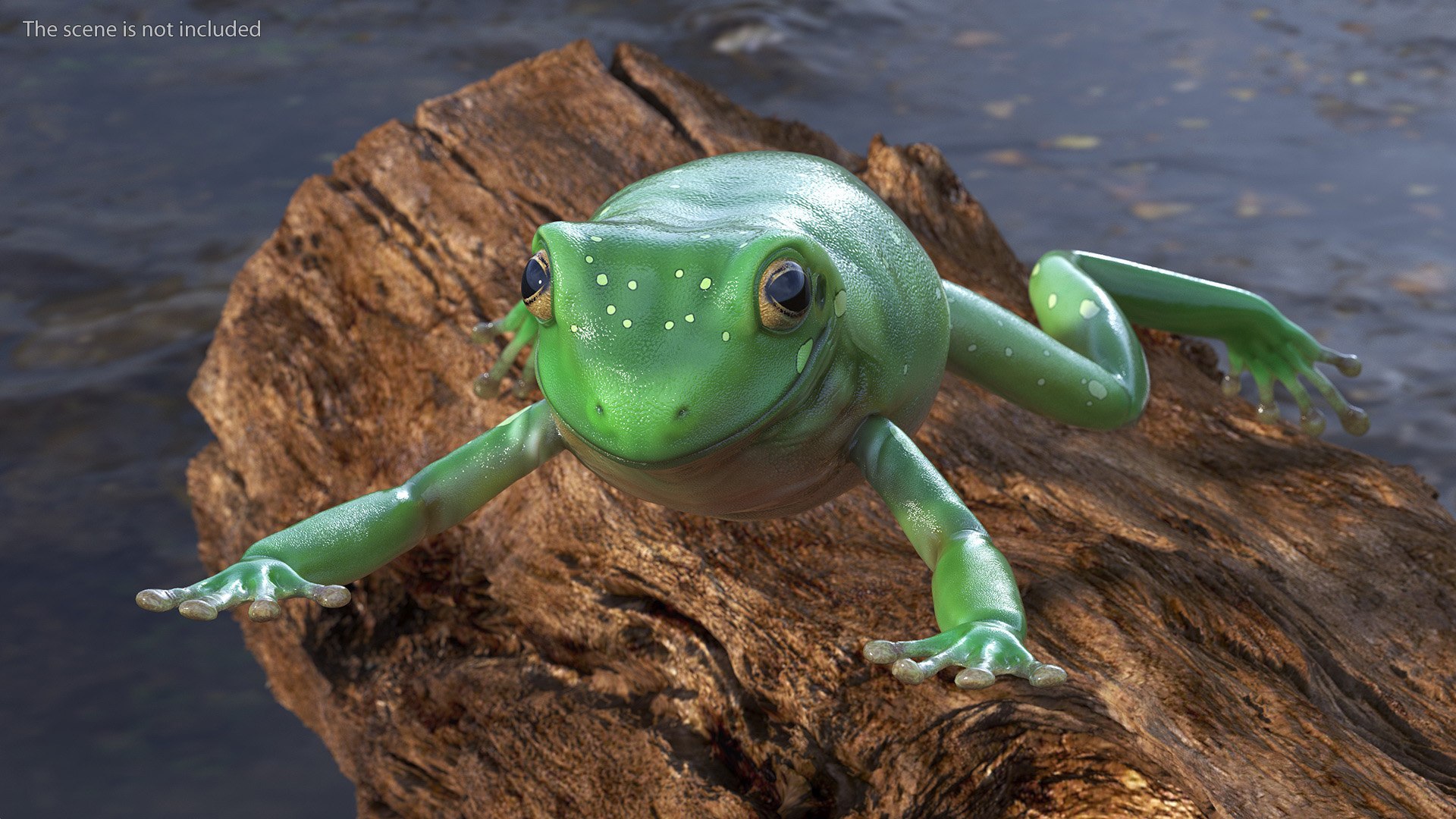 Ranoidea Caerulea Frog 3D https://p.turbosquid.com/ts-thumb/be/QAaSOc/9L/ranoideacaeruleafrogc4dmodel004/jpg/1719605431/1920x1080/fit_q87/57cf42dce845c61d468cc32bf4ce3dfc1051b8fe/ranoideacaeruleafrogc4dmodel004.jpg