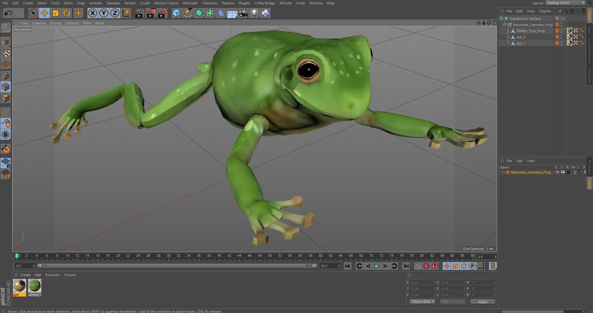 Ranoidea Caerulea Frog 3D https://p.turbosquid.com/ts-thumb/be/QAaSOc/EK/ranoideacaeruleafrogc4dmodel021/jpg/1719605506/1920x1080/fit_q87/0f2f9f856fef1731d3f6ae2d0f1807173fac9d42/ranoideacaeruleafrogc4dmodel021.jpg