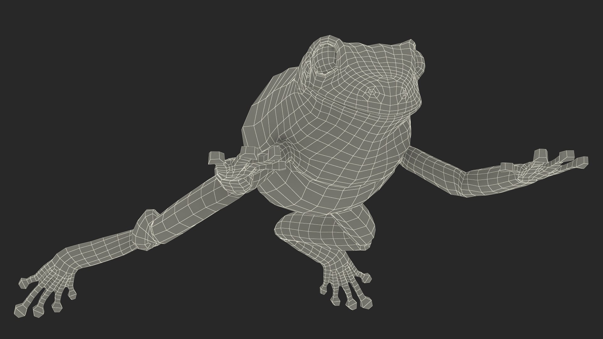 Ranoidea Caerulea Frog 3D https://p.turbosquid.com/ts-thumb/be/QAaSOc/MP/ranoideacaeruleafrogc4dmodel023/jpg/1719605515/1920x1080/fit_q87/e01f7375b944715f0e64c295b73d35881b1e027b/ranoideacaeruleafrogc4dmodel023.jpg