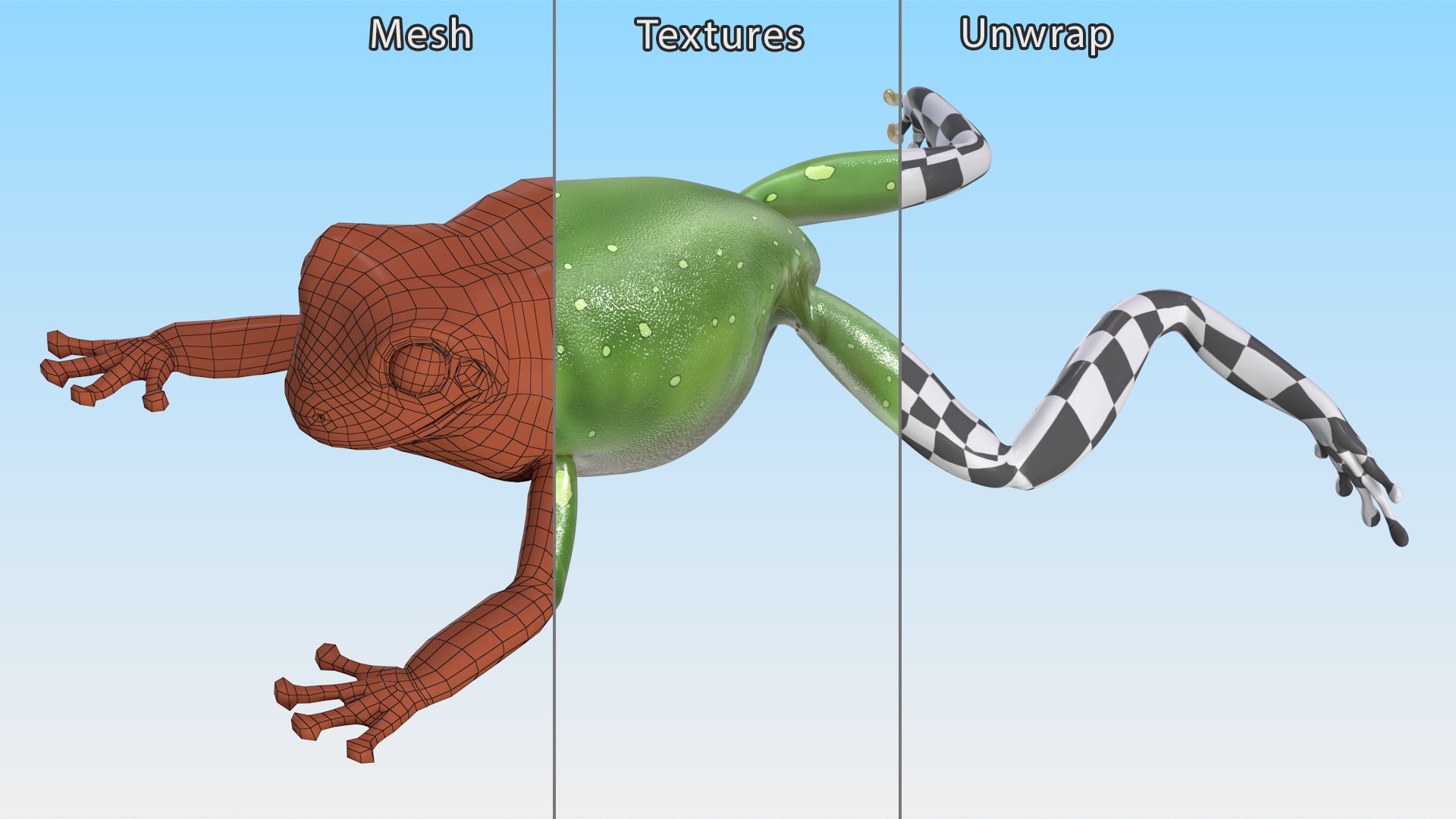 Ranoidea Caerulea Frog 3D https://p.turbosquid.com/ts-thumb/be/QAaSOc/WA/ranoideacaeruleafrogc4dmodel013/jpg/1719605472/1920x1080/fit_q87/b2437f166c389cac7049c27fd34faa63b947acbe/ranoideacaeruleafrogc4dmodel013.jpg