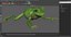 Ranoidea Caerulea Frog