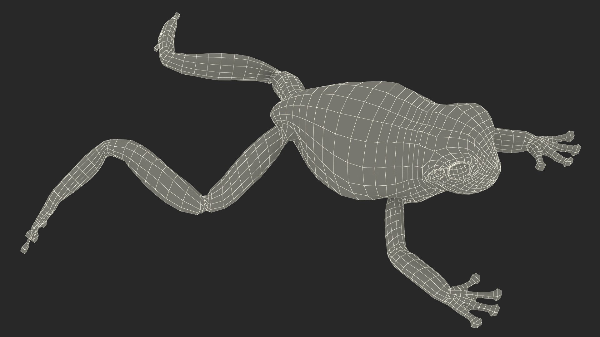 Ranoidea Caerulea Frog 3D https://p.turbosquid.com/ts-thumb/be/QAaSOc/Za/ranoideacaeruleafrogc4dmodel025/jpg/1719605525/1920x1080/fit_q87/a4f8e6895b26f9b8731ce63d3a60fd2188ec4f8a/ranoideacaeruleafrogc4dmodel025.jpg