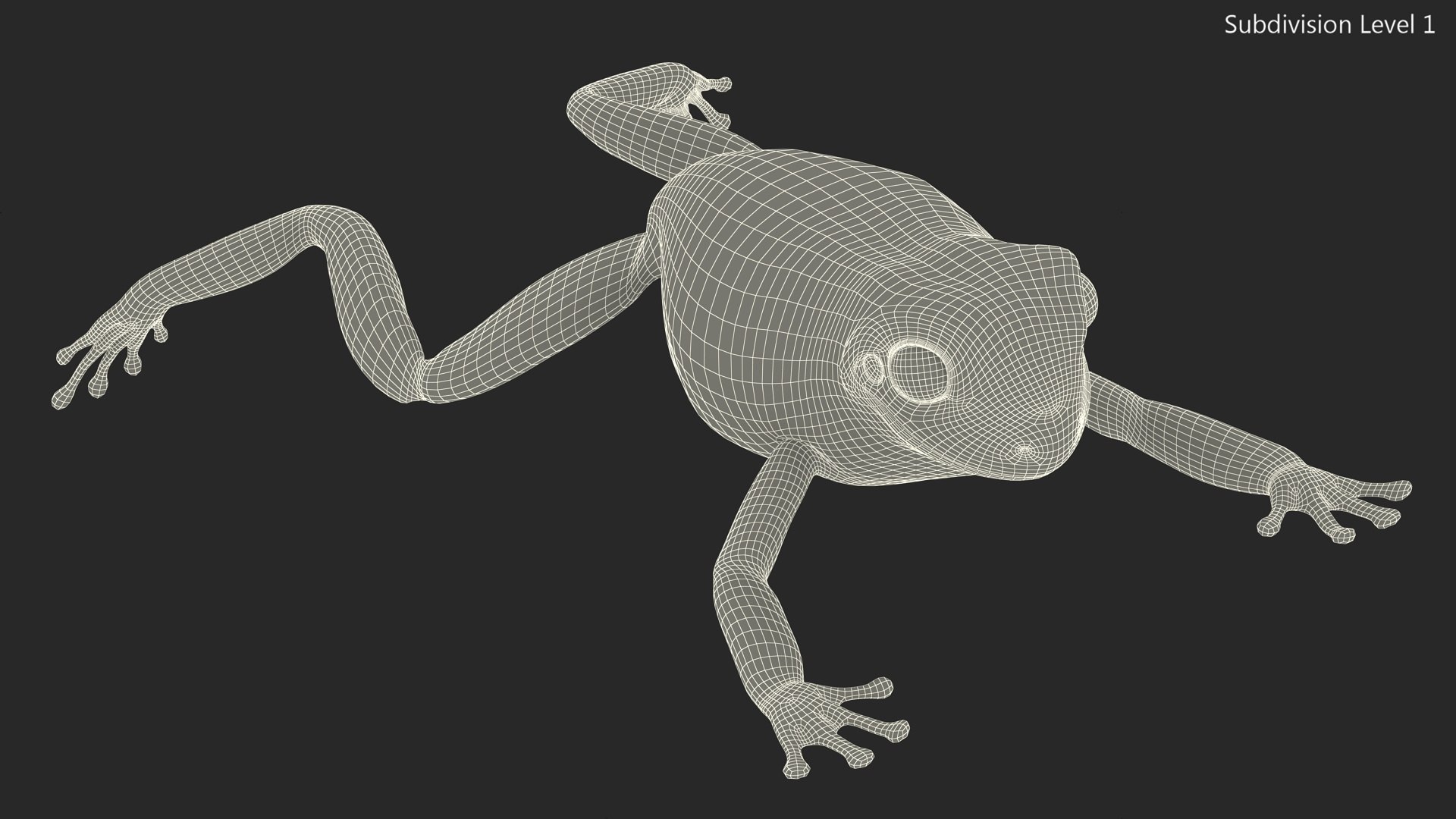 Ranoidea Caerulea Frog 3D https://p.turbosquid.com/ts-thumb/be/QAaSOc/lb/ranoideacaeruleafrogc4dmodel015/jpg/1719605482/1920x1080/fit_q87/5806fc8c6a63dc5db245af529e9580a32a97623e/ranoideacaeruleafrogc4dmodel015.jpg