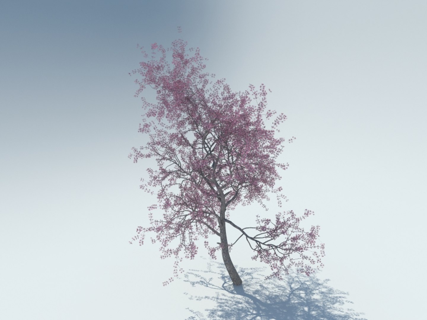 3d Max Realistic Sakura Tree