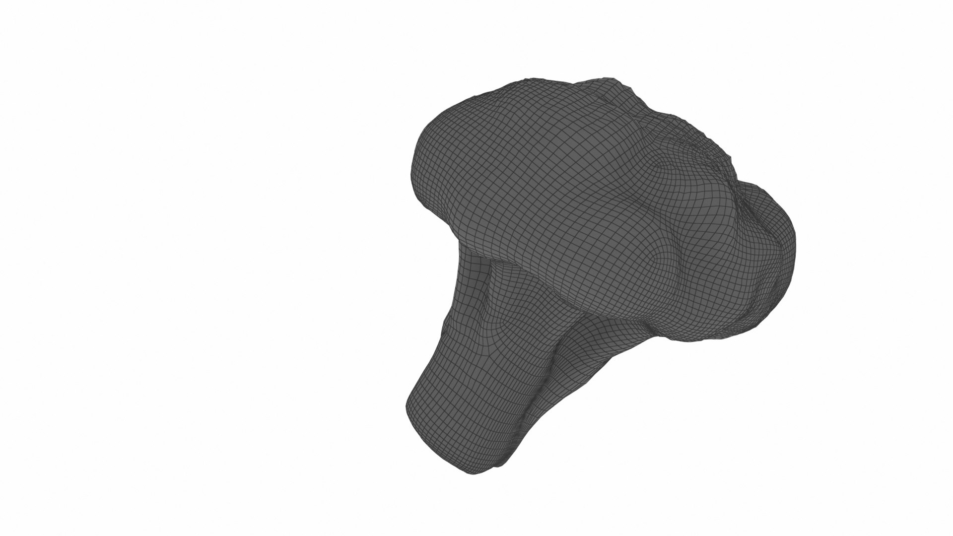 broccoli 3D model https://p.turbosquid.com/ts-thumb/be/VLCL7I/6TxJ8wpd/0broccoli11/jpg/1588543746/1920x1080/fit_q87/6314c57cd1bb5f7f917edc53d7964560e2b7ac7f/0broccoli11.jpg