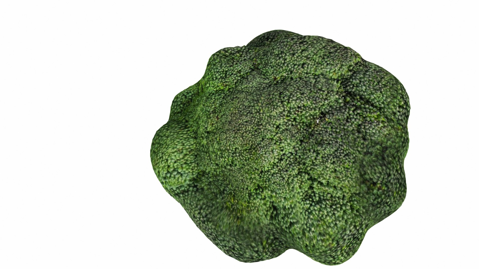 broccoli 3D model https://p.turbosquid.com/ts-thumb/be/VLCL7I/BGJaMKul/0broccoli4/jpg/1588543746/1920x1080/fit_q87/ce7e76a353bc6759b2bdd963c703b161089824c2/0broccoli4.jpg
