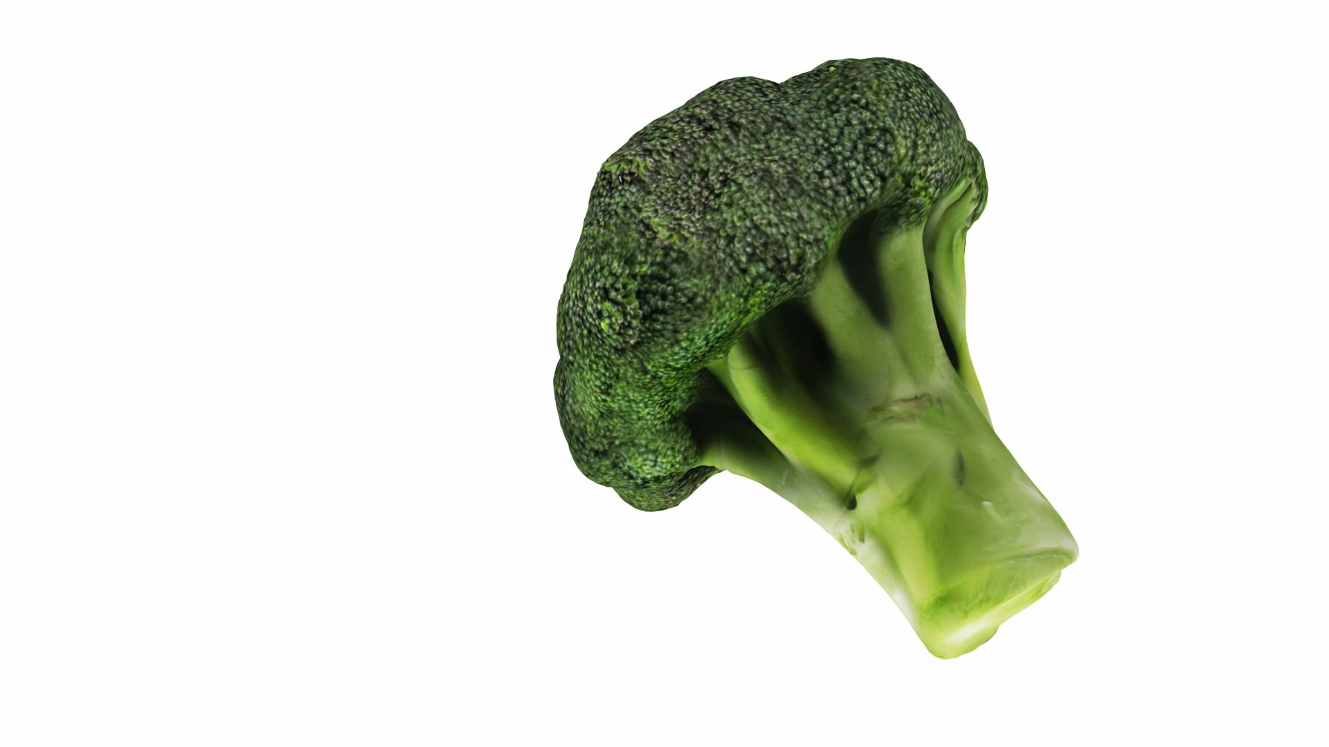 Leafy and Shrub Vegetables 3D https://p.turbosquid.com/ts-thumb/be/VLCL7I/DAskJjoF/0broccoli2/jpg/1769812253/1920x1080/fit_q87/dd8dfc53071fae71a66b06898108ce5301edf822/0broccoli2.jpg