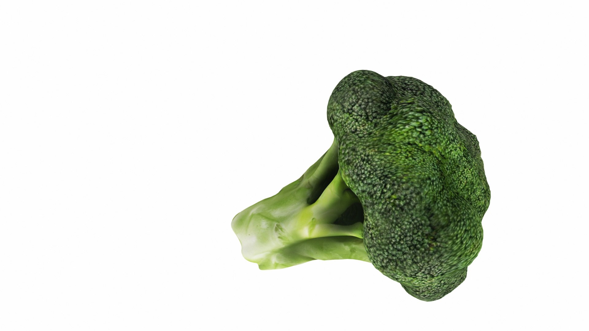 broccoli 3D model https://p.turbosquid.com/ts-thumb/be/VLCL7I/Str8VsN4/0broccoli3/jpg/1588543746/1920x1080/fit_q87/35ed3d51e073dcb19e1beefbde5bf2556581e274/0broccoli3.jpg