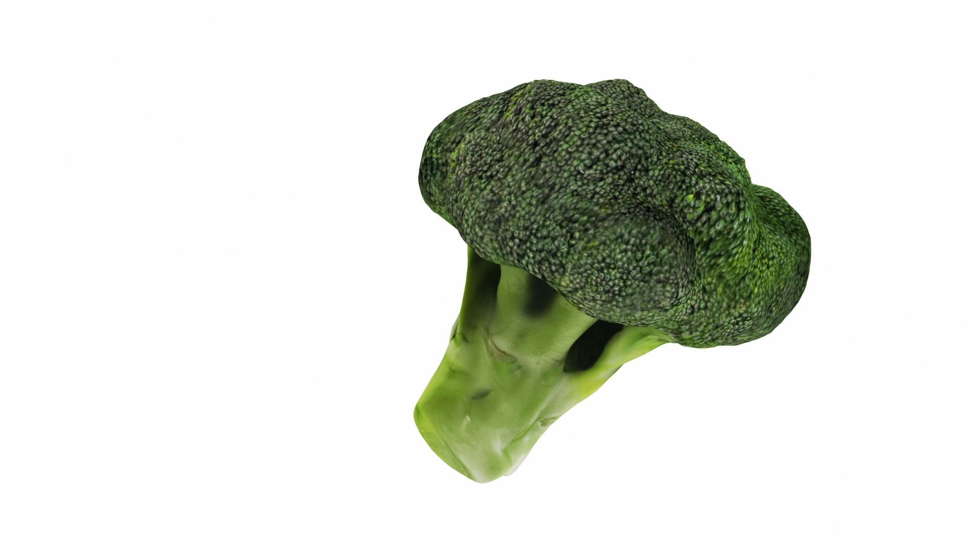 broccoli 3D model https://p.turbosquid.com/ts-thumb/be/VLCL7I/jqUrmeMi/0broccoli6/jpg/1588543746/1920x1080/fit_q87/1db6ea9913dffa48f3e91d05d101eb5512a33e90/0broccoli6.jpg
