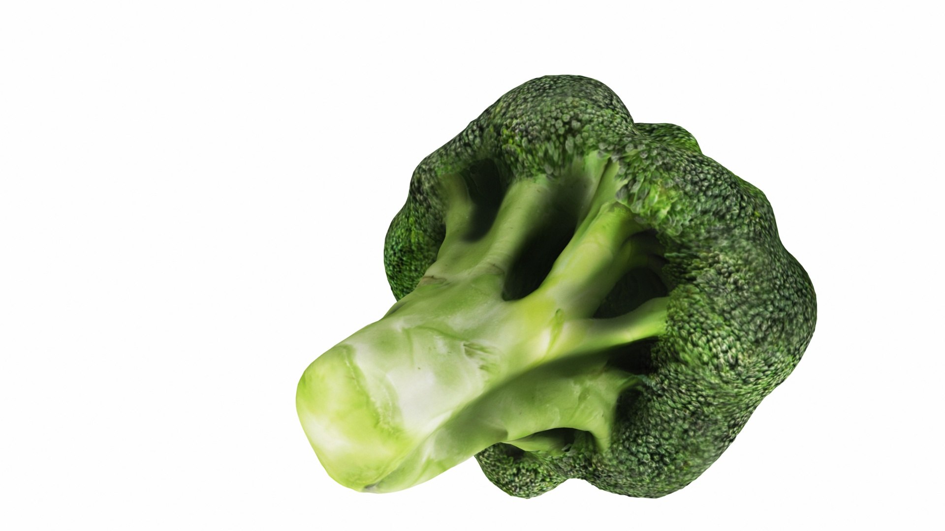 broccoli 3D model https://p.turbosquid.com/ts-thumb/be/VLCL7I/lwe97aX7/0broccoli5/jpg/1588543746/1920x1080/fit_q87/9f8e930b3d644daa06ef9a7408cf5443fc710736/0broccoli5.jpg