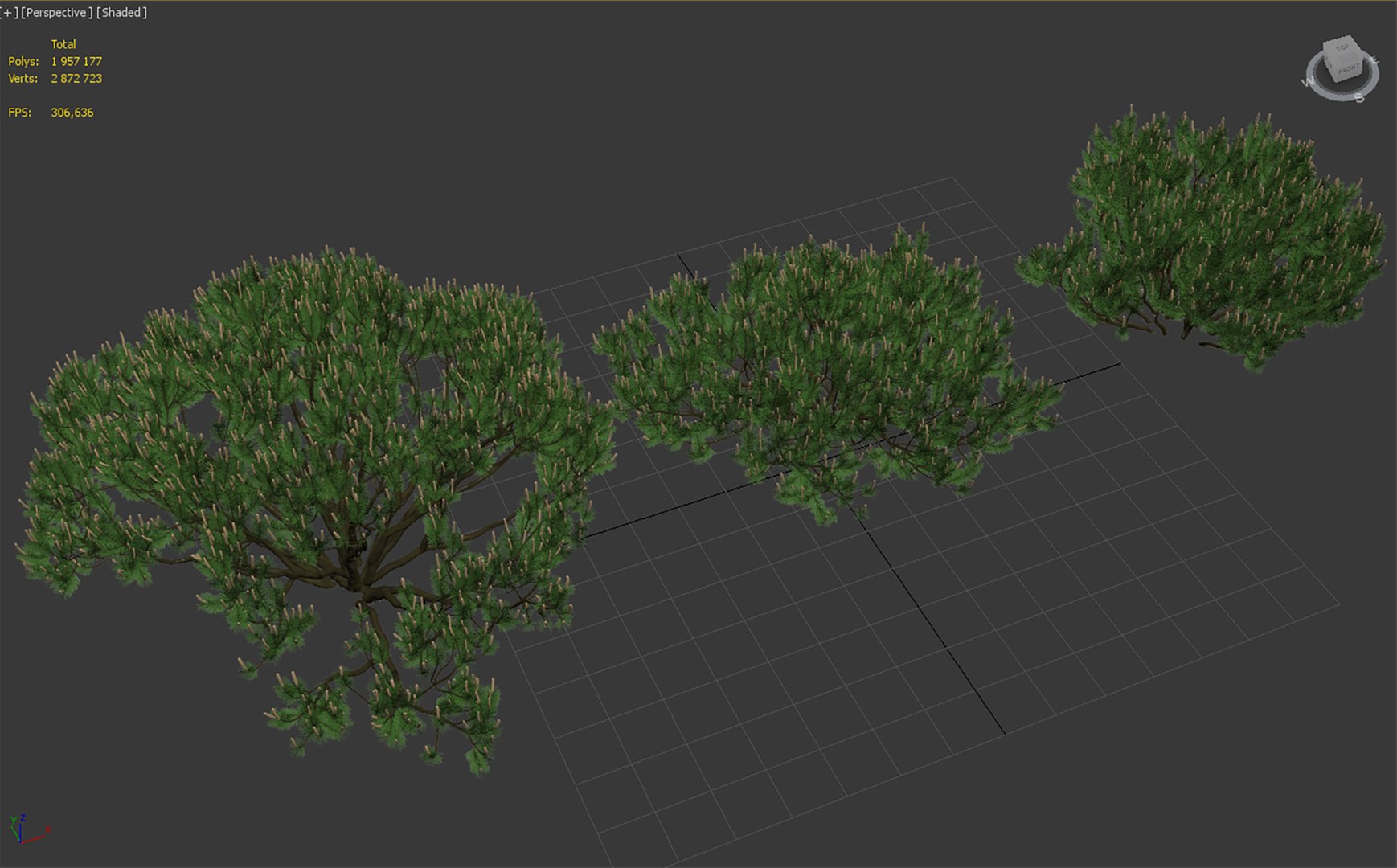 Trees Mugo 3D Model - TurboSquid 1694574