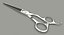 Scissors