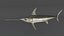 Swordfish