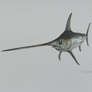fish swordfish model