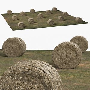 Farm Field with Round Hay Bale Rolls Golden Brown Fur