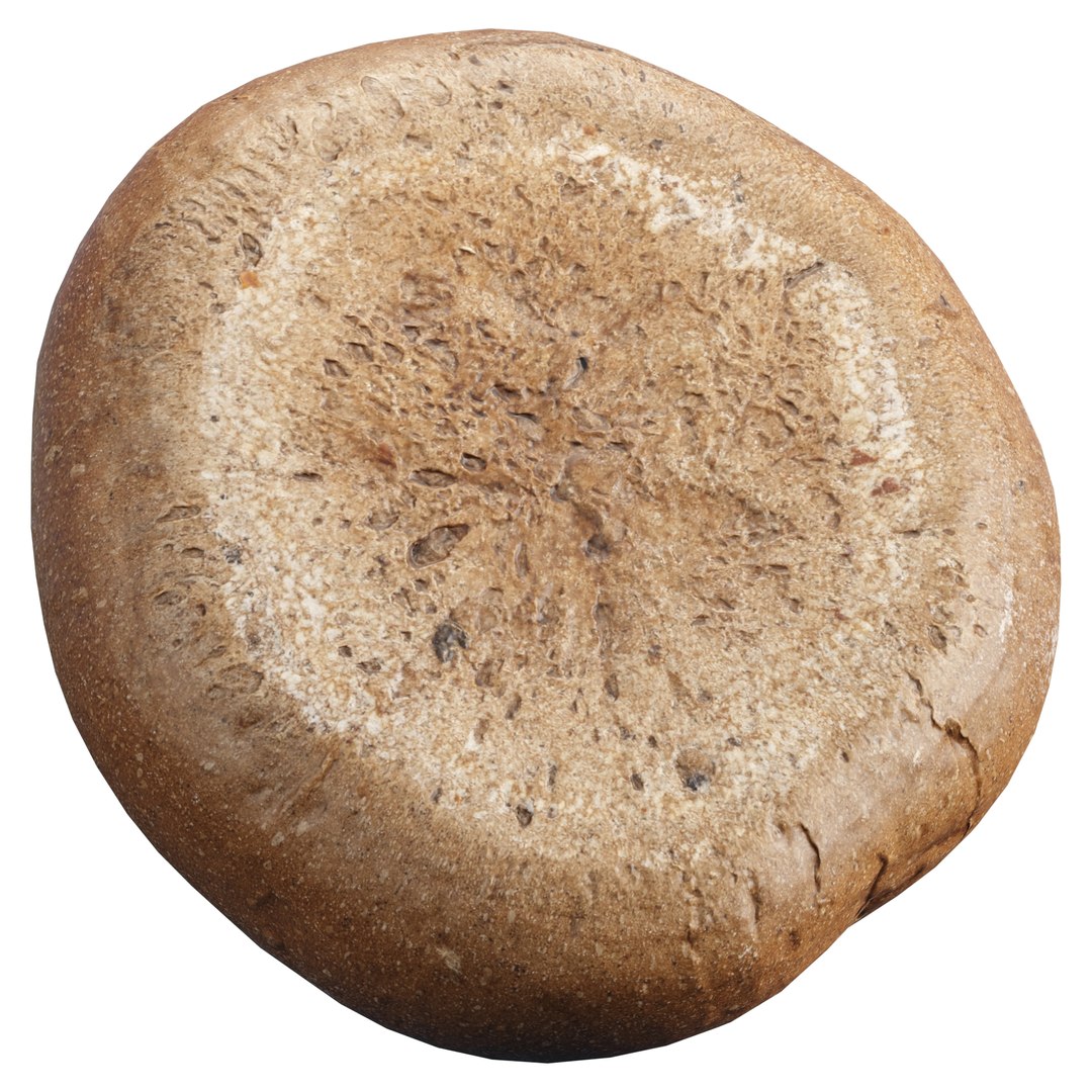 3D Rustic Loaf Bread 3D Model  Vol 06 model https://p.turbosquid.com/ts-thumb/bf/5IAJze/bx/2/jpg/1755978144/1920x1080/fit_q87/bdb1de6d4a442c4042de0d2d2d88c4c746c326b0/2.jpg
