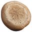 Rustic Loaf Bread 3D Model  Vol 06