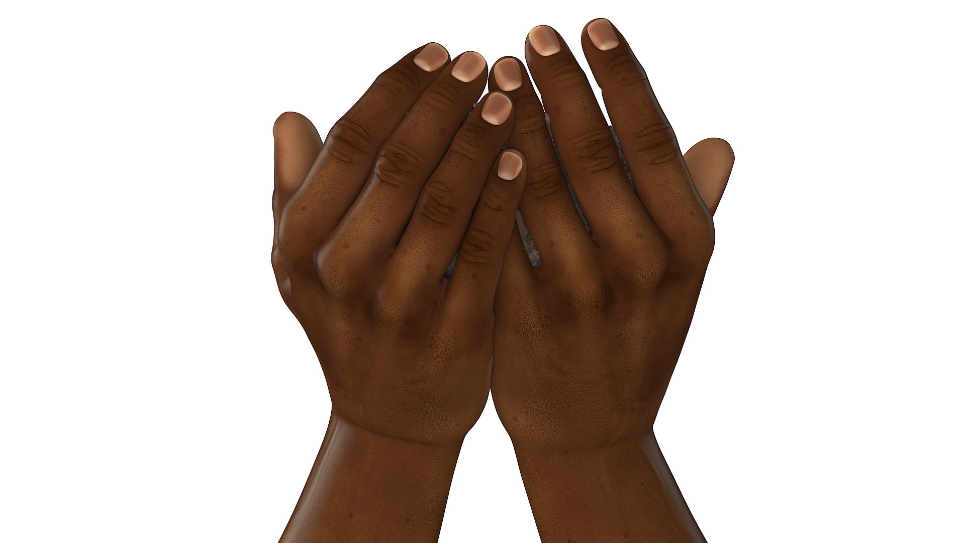 Afro American Hands Holding Ashes 3D Model - TurboSquid 2347128