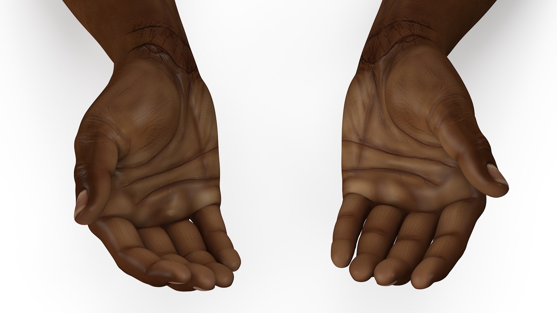 Afro American Hands Holding Ashes 3D Model - TurboSquid 2347128