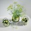 dill flowers cucumbers set 3D