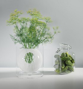 Dill Flowers and Cucumbers Set