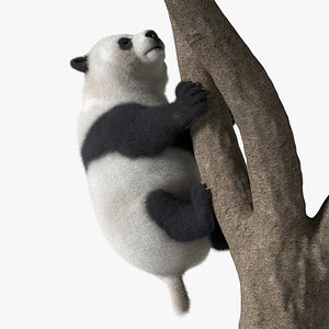 Giant Panda Climbing Tree Animated Fur Rigged For Blender