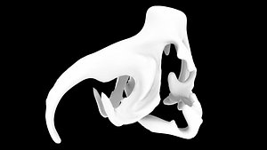 Fantasy Skull