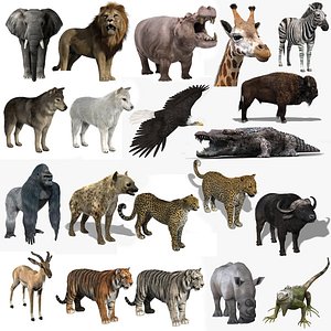 Wild Pack