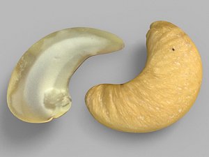 3dsmax cashew nuts