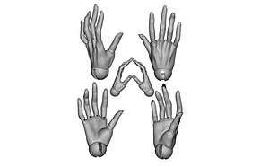 Articulated arms  Hand  bjddoll  3DHands JointedHands BJDHands MovableHand  HandPoses DollHa