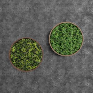 Moss decor 3D model - TurboSquid 1276888