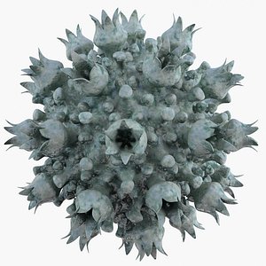 3d micro object mht model