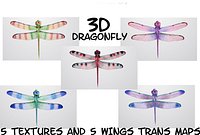 Dragonfly DC